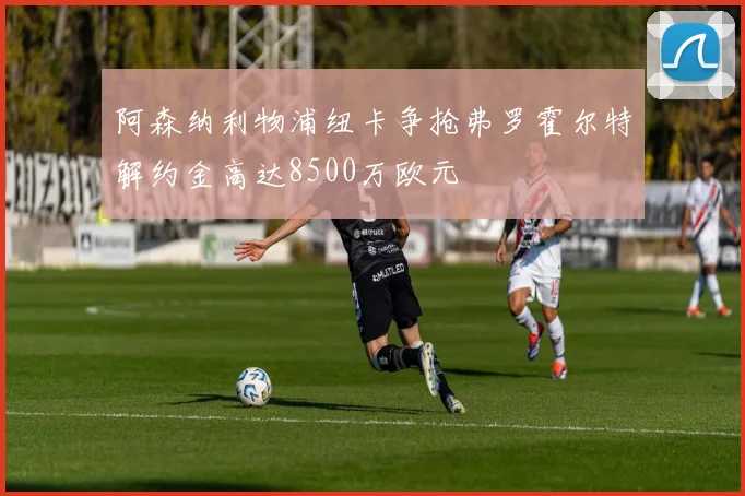阿森纳利物浦纽卡争抢弗罗霍尔特解约金高达8500万欧元